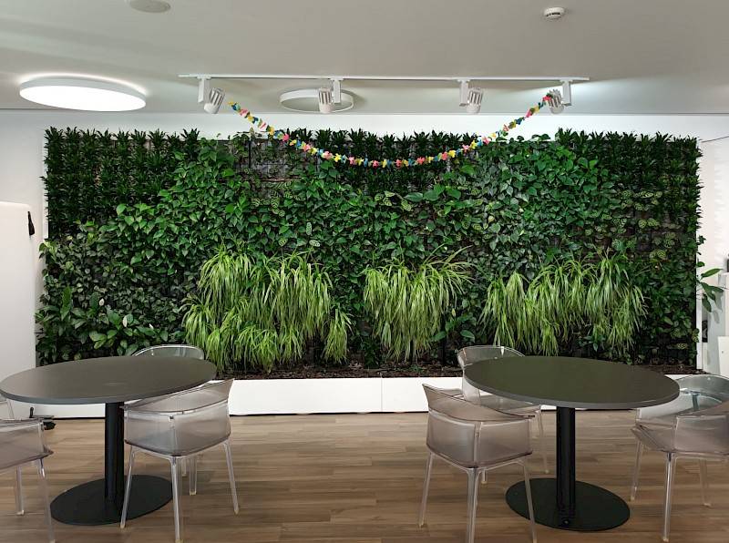 Mur végétal naturel au bureau - Nature at Work