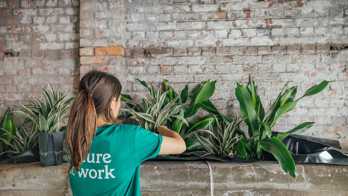 Installeren  van industriële plantenbakken van Nature at work bij Wintercircus Gent