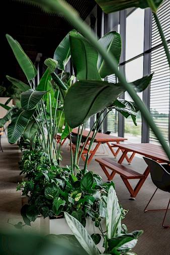 Plantenbakken op maat met Jungle planten van Nature at work bij Noa Renson