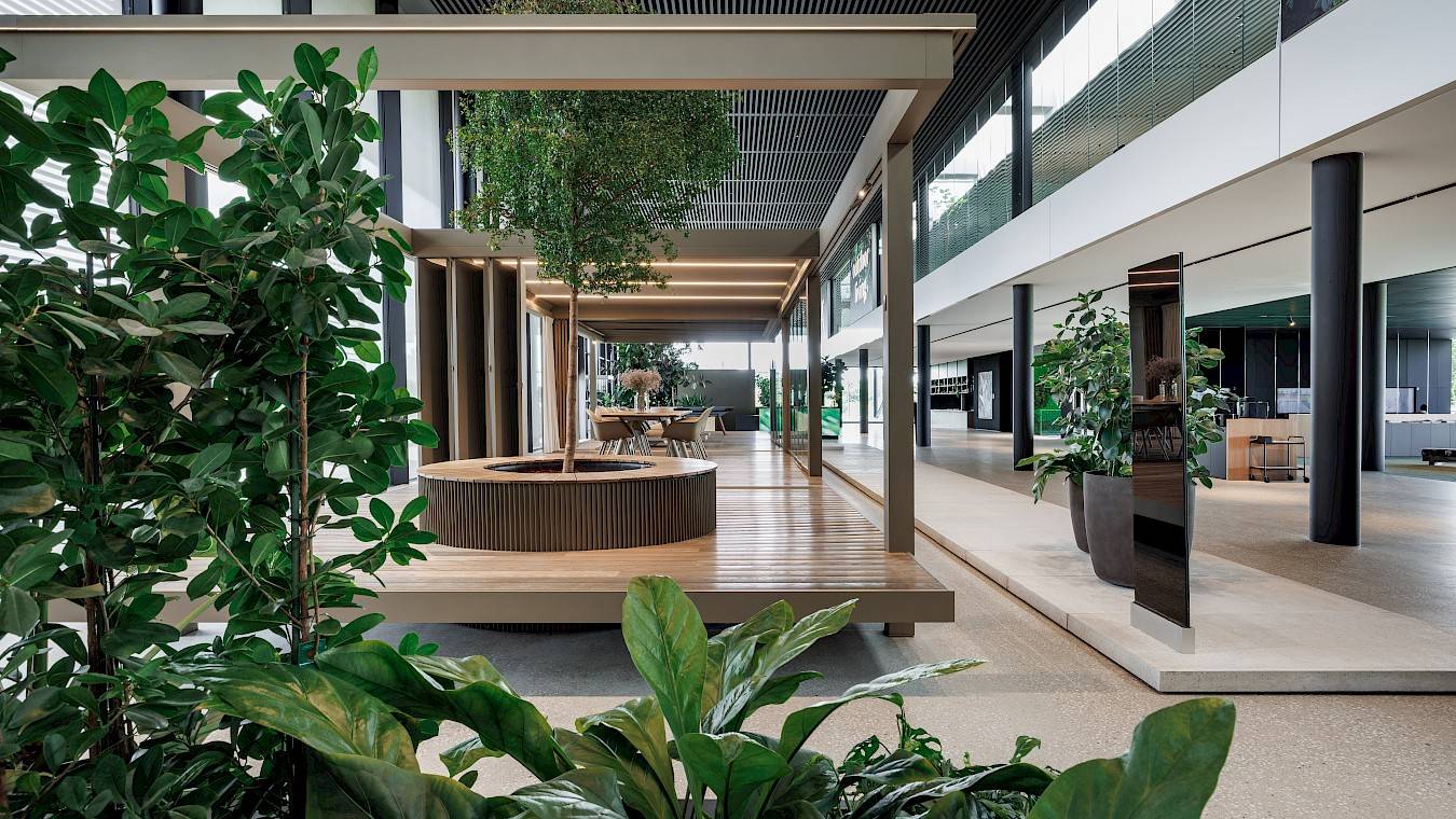 Inmaakbak met bucida boom in showroom NOA Renson