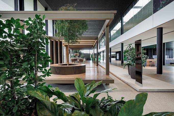 Inmaakbak met bucida boom in showroom NOA Renson