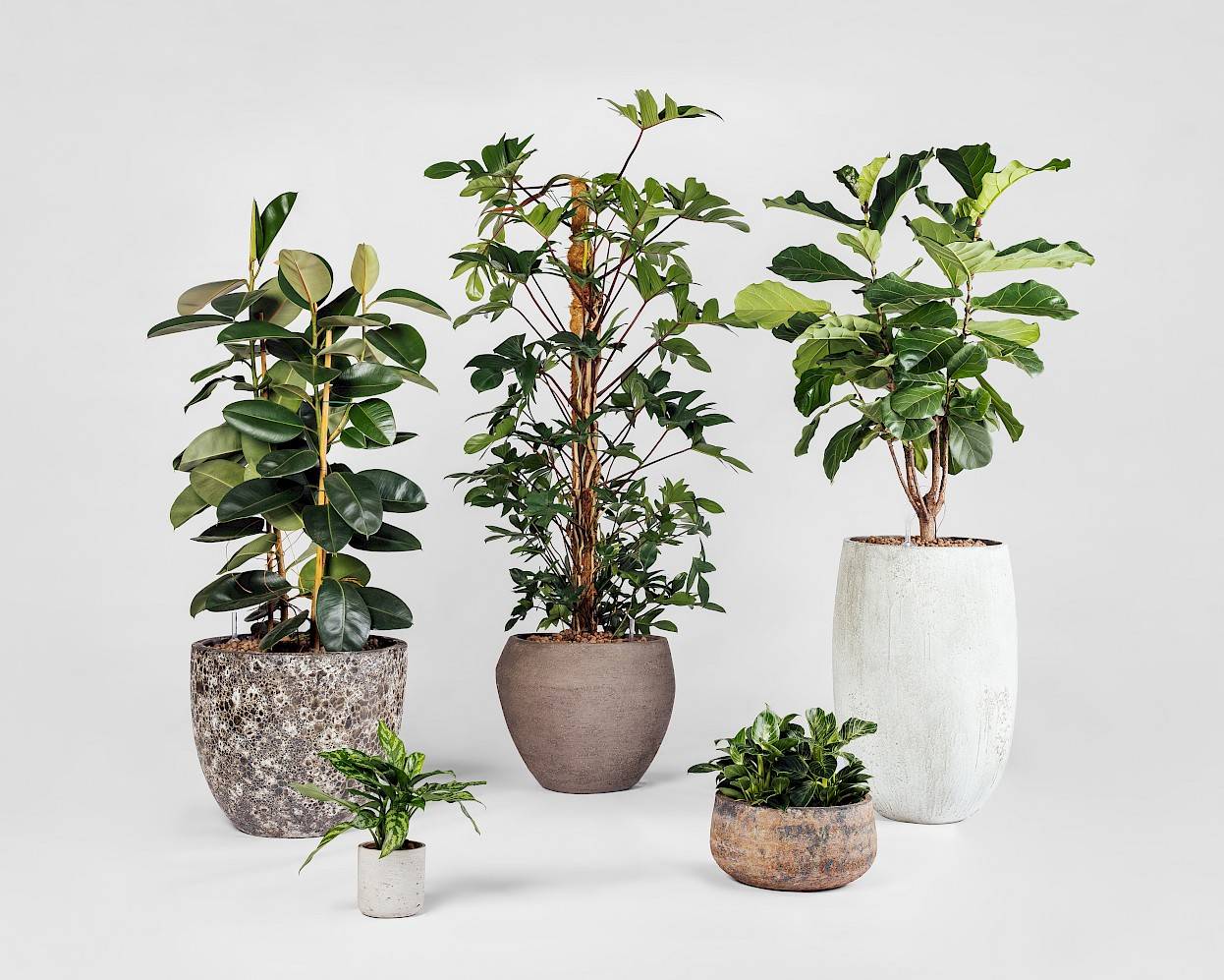Industri&euml;le plantenbakken in moodboard Nature at work, in betonkleur en textuur